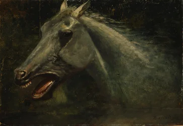 Een wilde hengst